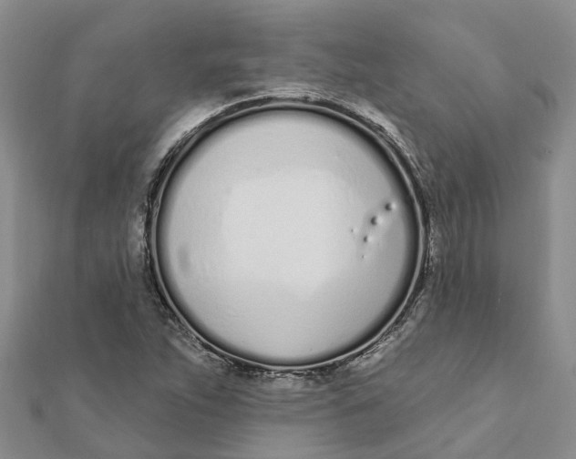 X0000111891263200908131647