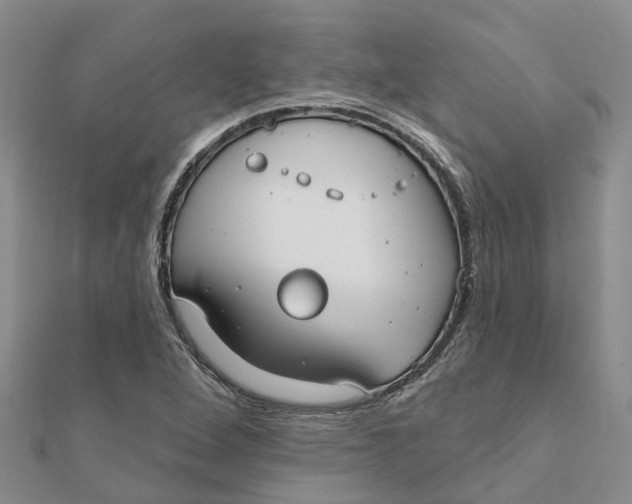 X0000111891264200908131647