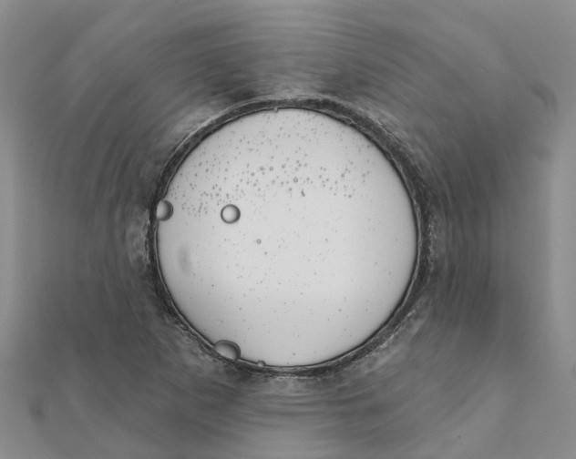 X0000111891265200908131647