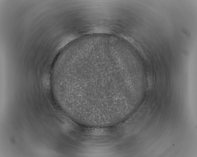 X0000111891266200908131647