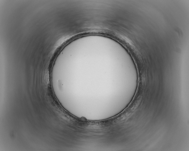 X0000111891267200908131647