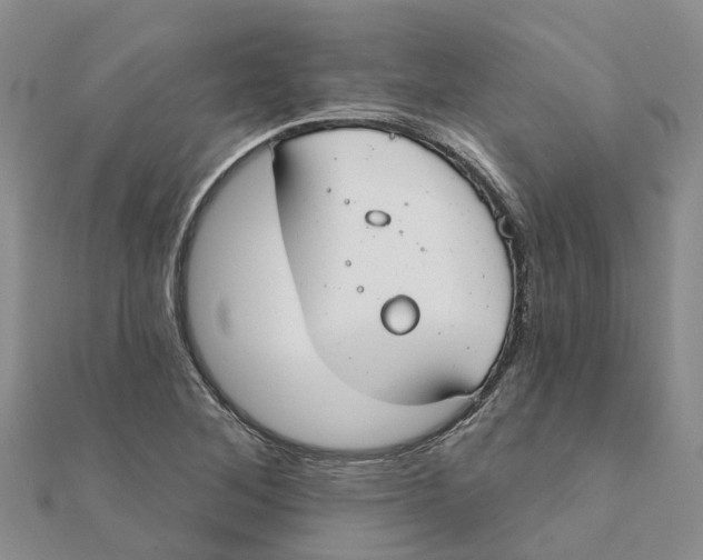 X0000111891268200908131647