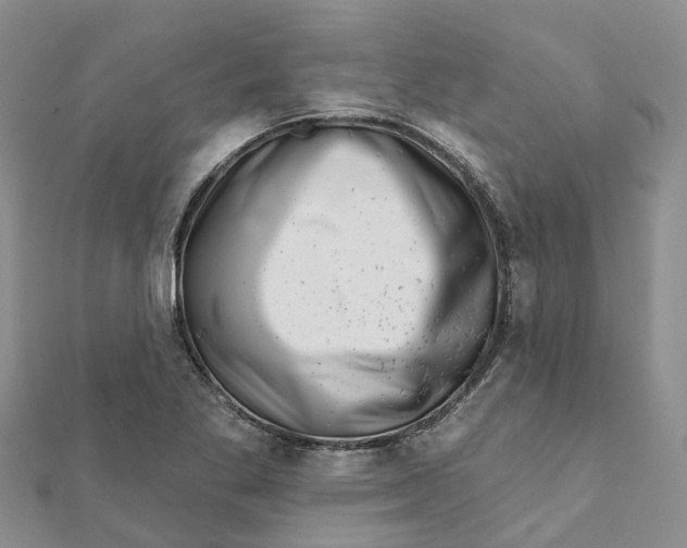 X0000111891269200908131647