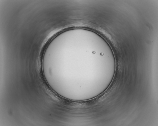 X0000111891270200908131647