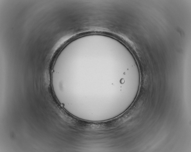 X0000111891271200908131647