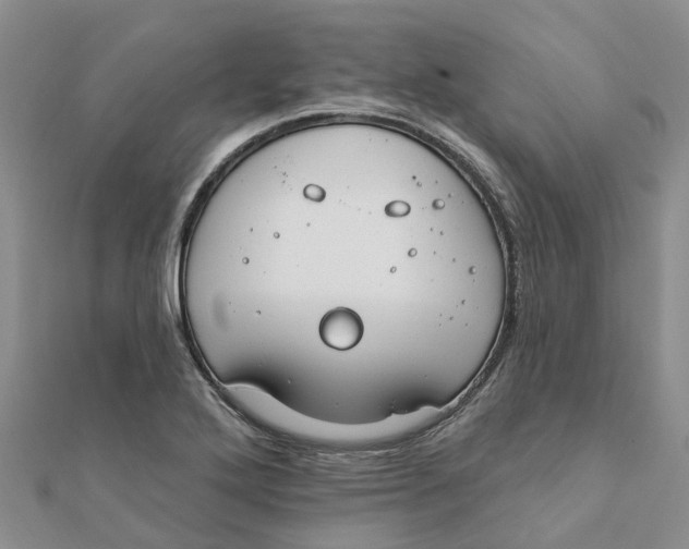 X0000111891272200908131647