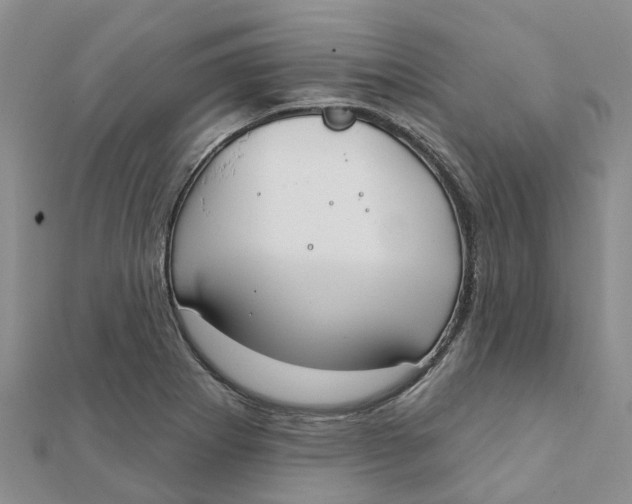 X0000111891273200908131647