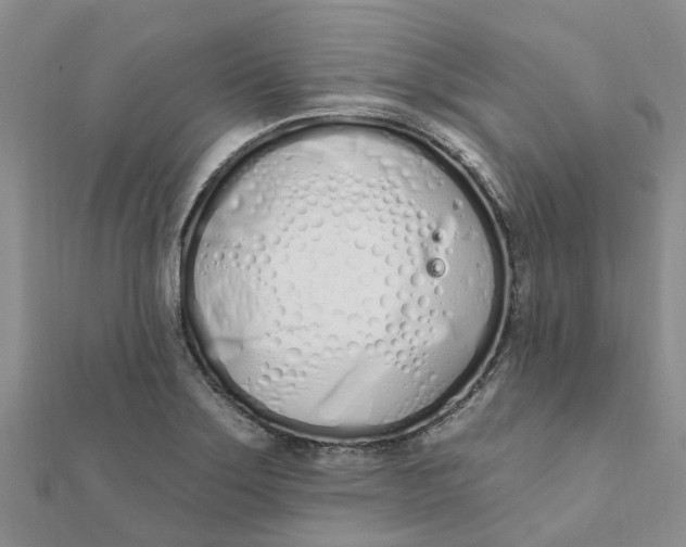 X0000111891275200908131647