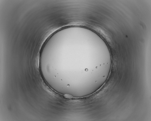 X0000111891276200908131647