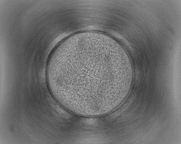 X0000111891278200908131647