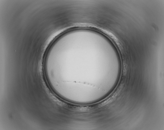 X0000111891279200908131647