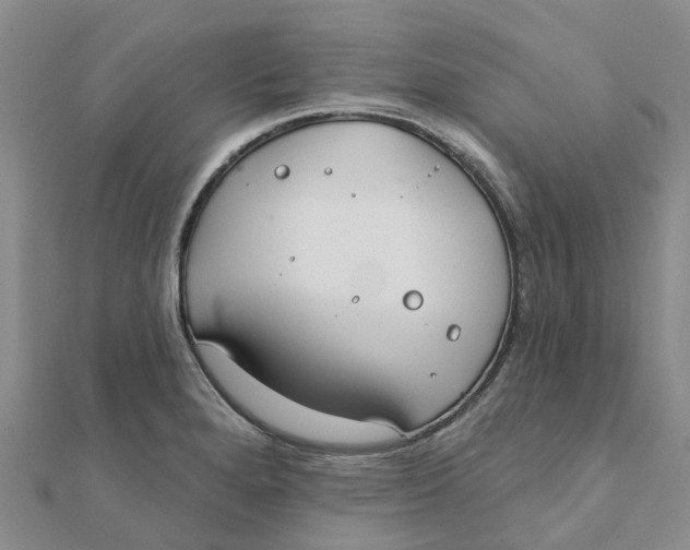 X0000111891280200908131647