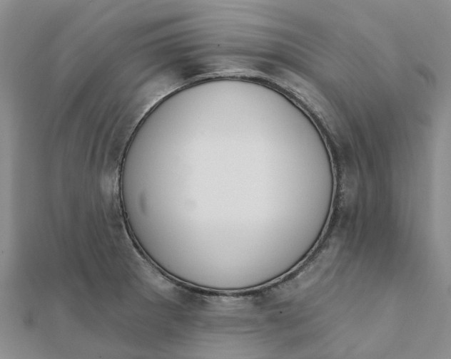 X0000111891281200908131647