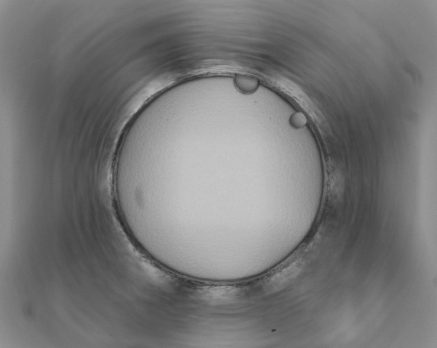 X0000111891282200908131647