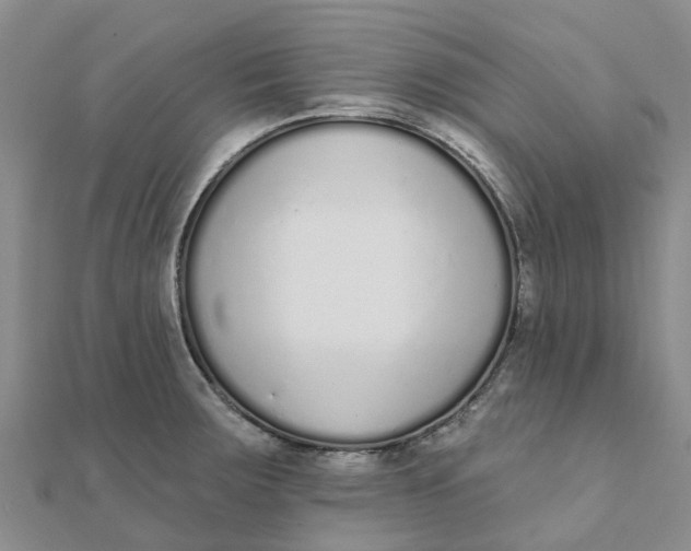 X0000111891283200908131646