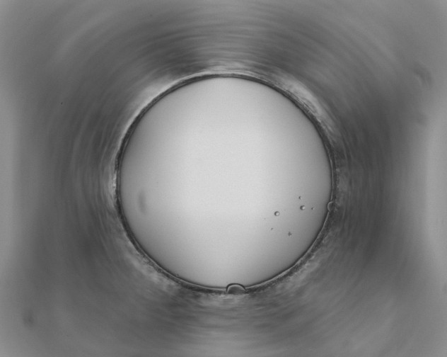 X0000111891284200908131646