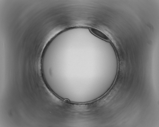 X0000111891285200908131646