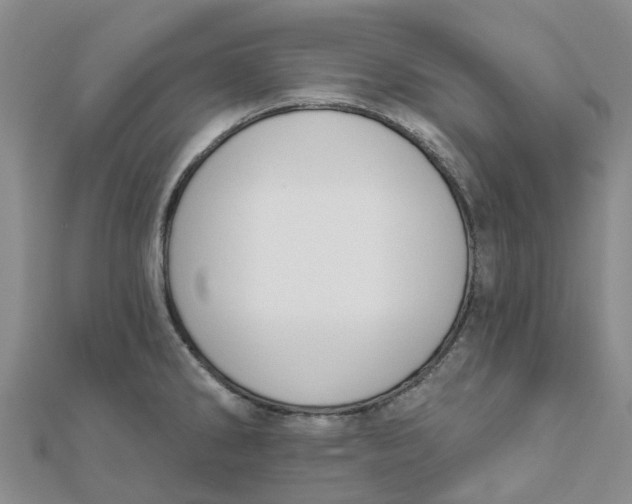 X0000111891286200908131646