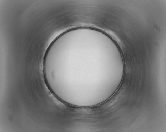 X0000111891287200908131646