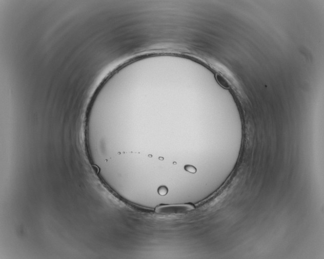 X0000111891288200908131646