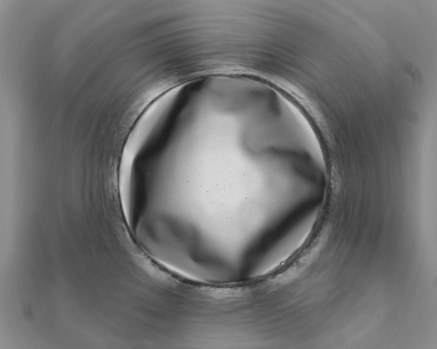 X0000111891289200908131646