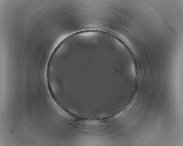 X0000111891291200908131646