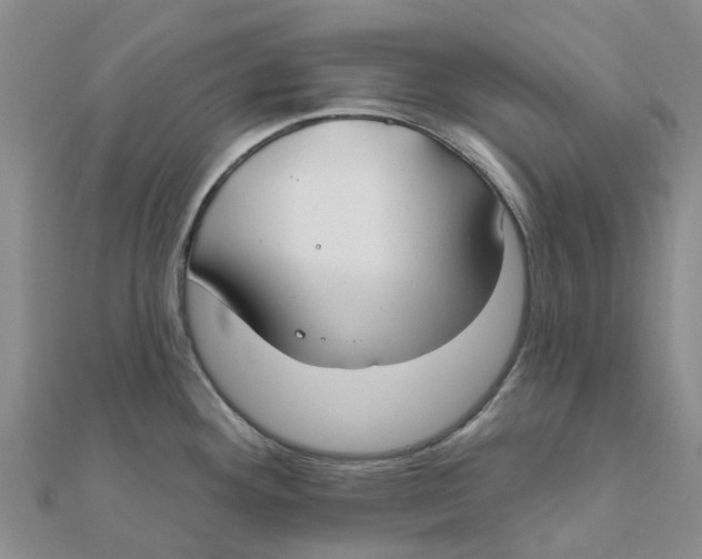 X0000111891292200908131646