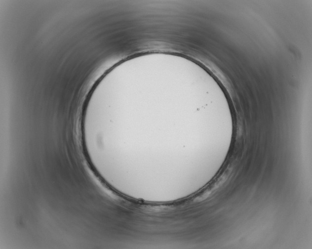 X0000111891293200908131646