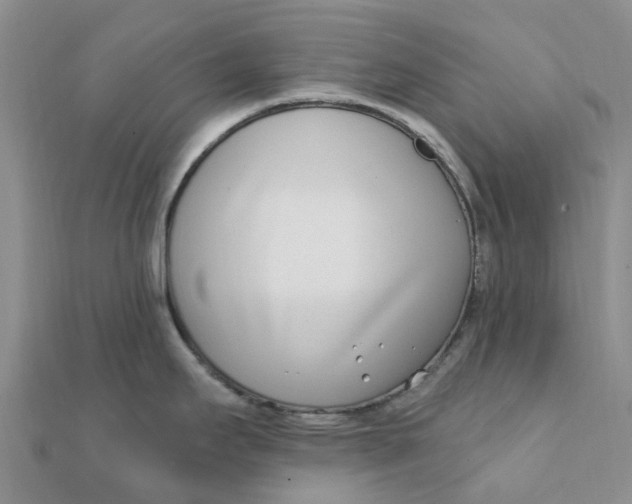 X0000111891295200908131646