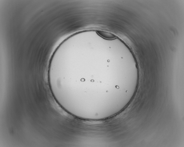 X0000111891296200908131646