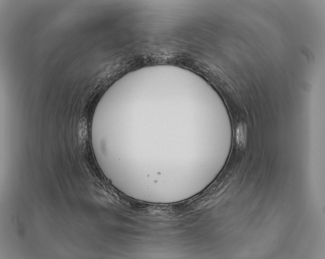 X0000111891299200908131646