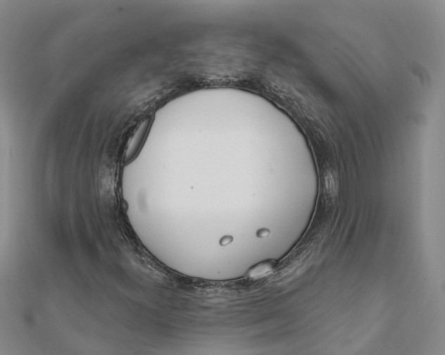 X0000111891300200908131646