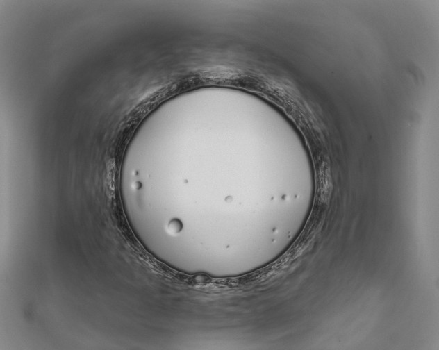 X0000111891301200908131646