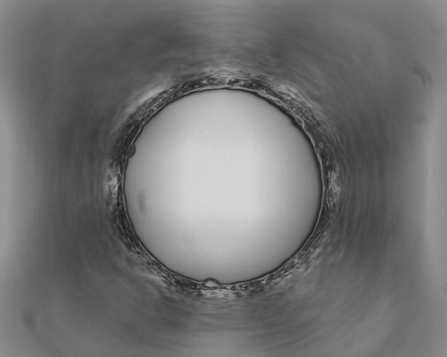 X0000111891302200908131646