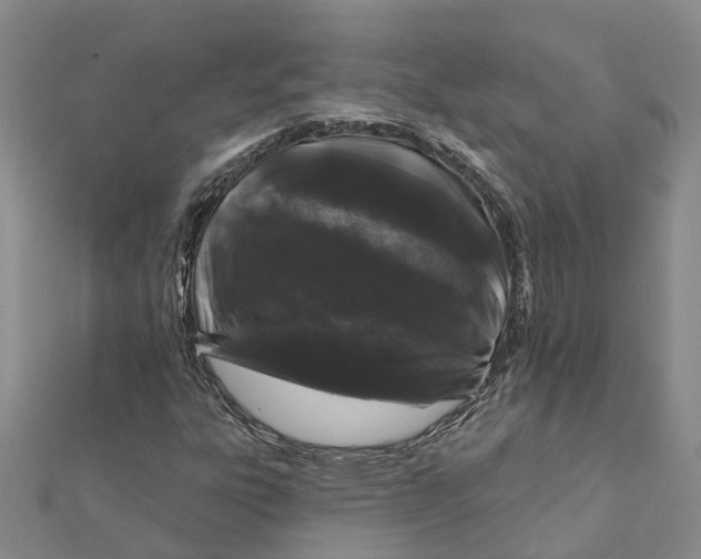 X0000111891303200908131646