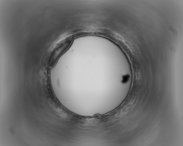 X0000111891304200908131646