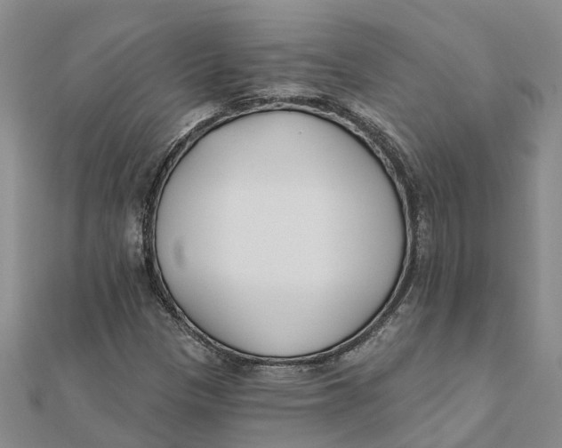 X0000111891305200908131646