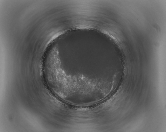 X0000111891306200908131646