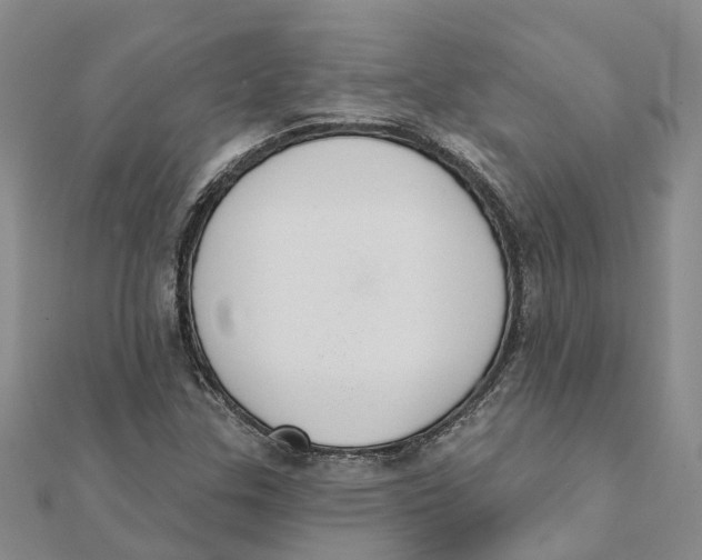 X0000111891307200908131646