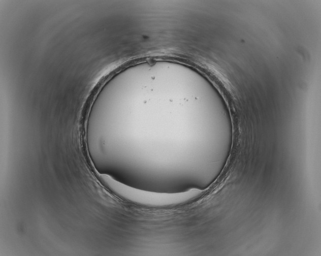 X0000111891308200908131646