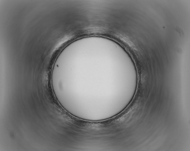 X0000111891309200908131646