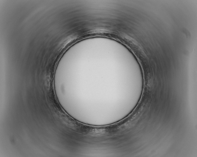 X0000111891313200908131646