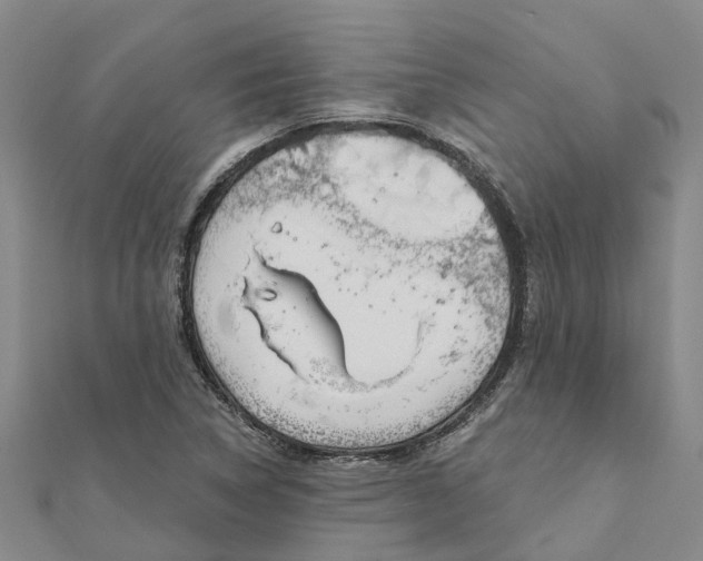 X0000111891314200908131646