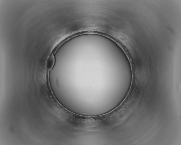 X0000111891316200908131646