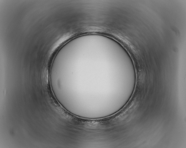 X0000111891317200908131646