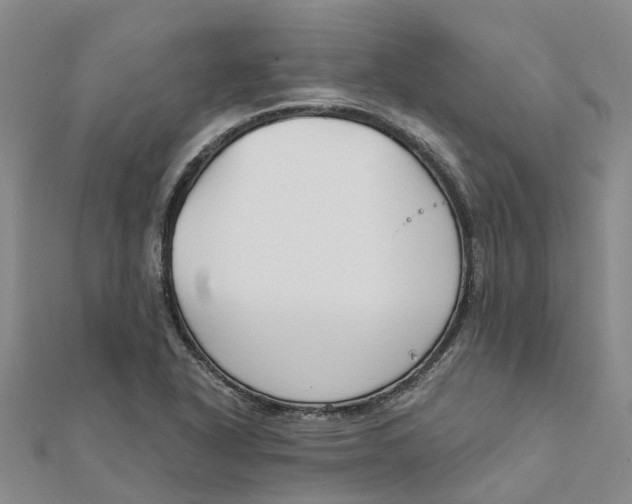 X0000111891318200908131646