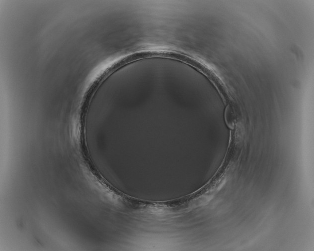 X0000111891319200908131646