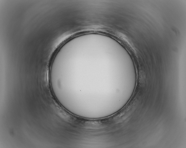 X0000111891320200908131646