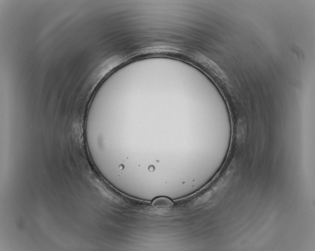 X0000111891321200908131646