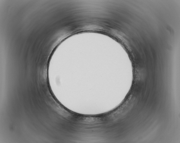 X0000111891322200908131646